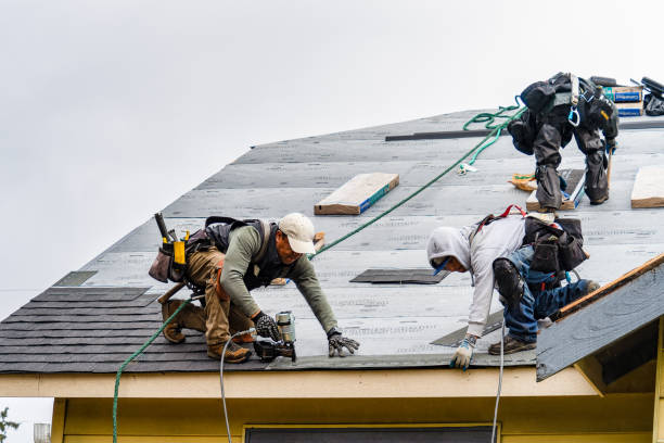 Professional Emergency Roof Repair technician working in Evart, MI